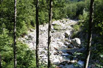 Vedere din Valea Luncavatului